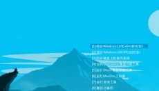 CowPE 截图