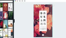 canva 截图