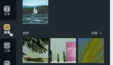 canva 截图