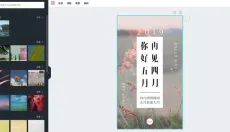 canva 截图