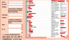 飞秋 截图