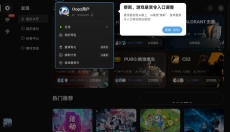 oopz电脑版 截图