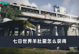 七日世界羊肚菌怎么获得