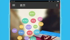 西瓜播放器 截图