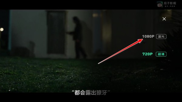 瓜子影视安卓版