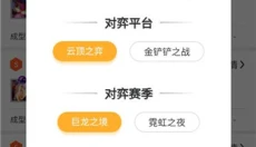云顶攻略助手app 截图