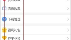 芥子空间旧版 截图