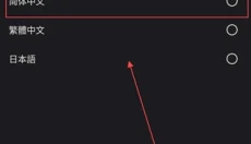 xstreaming 截图