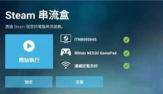 Steam Link 截图