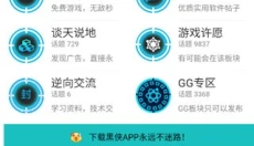 黑侠辅助器 截图