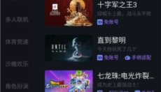 赛博云电脑 截图