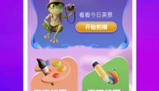 幸运蛙 截图