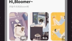 bloom 截图