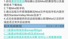 SMAPI 截图