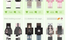 Skinseed 截图