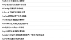 ch命令助手 截图