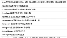 ch命令助手 截图