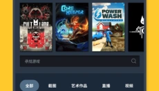 steam正版 截图