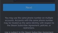 steam正版 截图