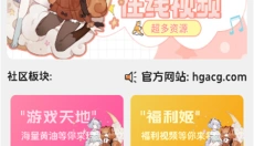海阁游戏库 截图
