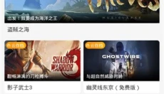 领沃云游戏 截图