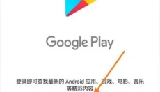 谷歌服务框架 截图