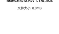 NDS模拟器 截图