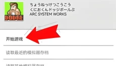 NDS模拟器 截图