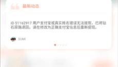 骑士助手 截图