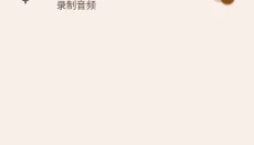 nds4droid 截图