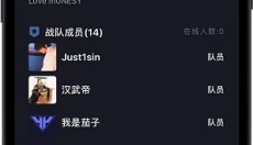 R0对战平台 截图