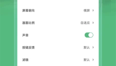 小马模拟器2025 截图