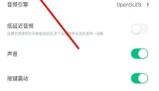 小马模拟器2025 截图