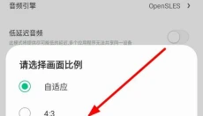 小马模拟器2025 截图