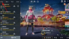 和平精英美化包 截图