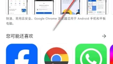 play商店 截图