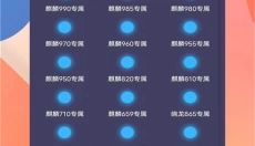 画质大师 截图