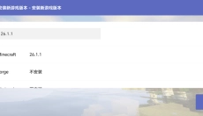 Hmcl启动器java 截图