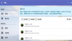 Hmcl启动器java 截图