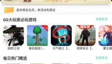 GG大玩家完整版 截图