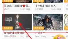 橙光游戏盒子 截图