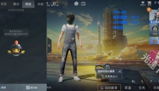 帧率显示器 截图