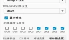 winlator模拟器 截图