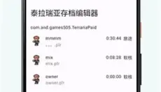 泰拉瑞亚存档编辑器 截图