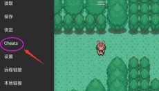 gba模拟器中文版 截图