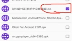 wii模拟器中文版 截图