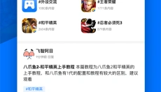 飞智游戏厅 截图