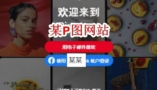 Watt Toolkit 截图