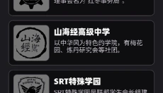 BAVoice 截图