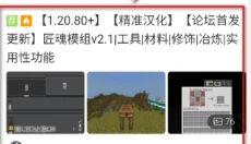 苦力怕论坛我的世界基岩版 截图